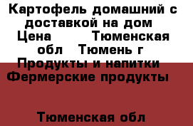 Картофель домашний с доставкой на дом › Цена ­ 40 - Тюменская обл., Тюмень г. Продукты и напитки » Фермерские продукты   . Тюменская обл.